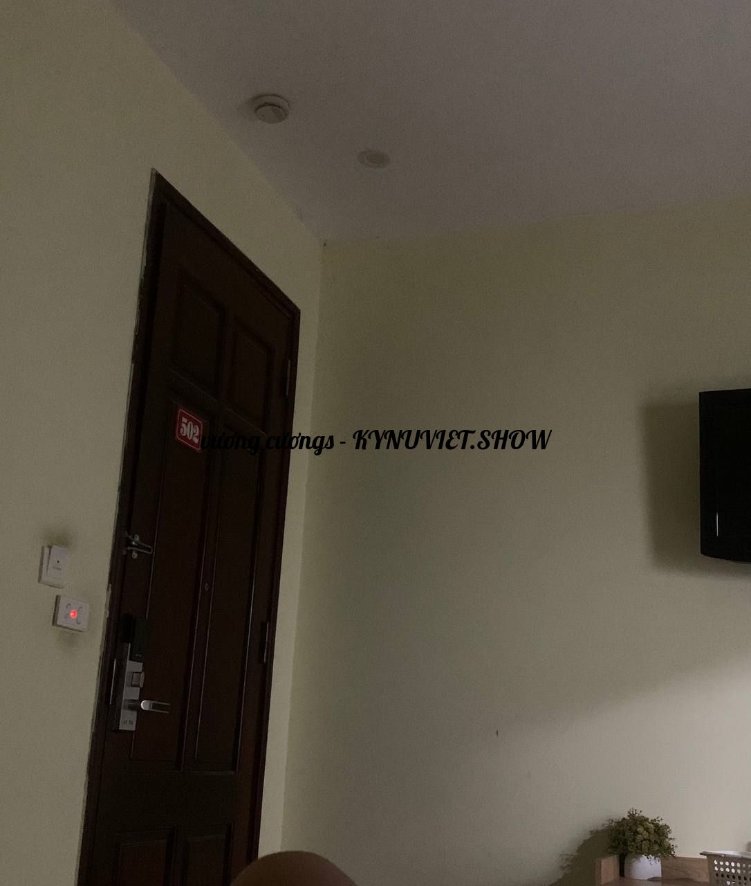 IMG_7639.jpeg